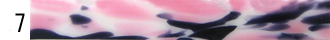 AZ_͗l